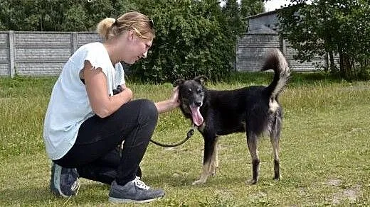 Irysek marznie w swojej zimnej, brudnej budce... C