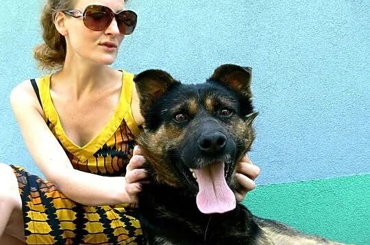 Frugo – super psiak szuka domu