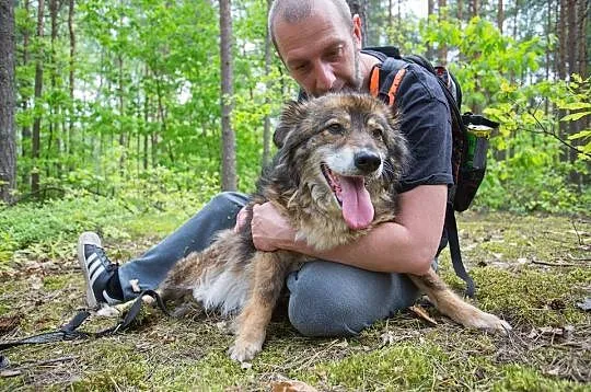Cudowny, rozbrajający kudłacz Osa do pokochania!