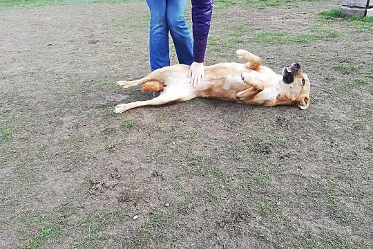 Szeroki uśmiech ma, będzie przyjaciółką na sto dwa - Lorka, , Wrocław