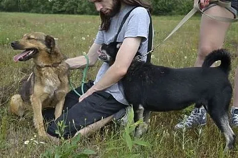 Świat zapomniał o biednym Małpiatku,  dolnośląskie