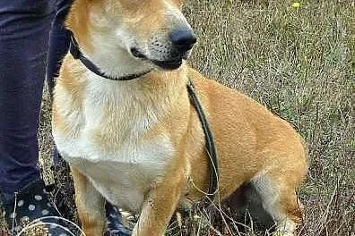 Beniamin marzy o kochającym i odpowiedzialnym domk