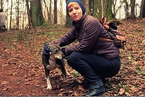 CZAKO pies którego musisz pokochać!,  pomorskie Gd