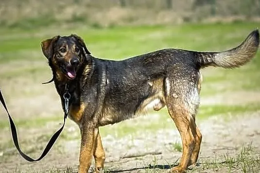 Kochany Dziadek (wcale nie taki dziadek!) :)