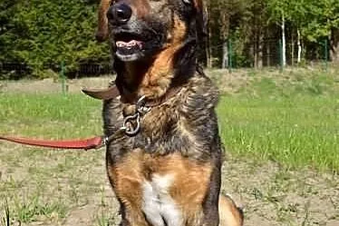 Kochany Dziadek (wcale nie taki dziadek!) :)