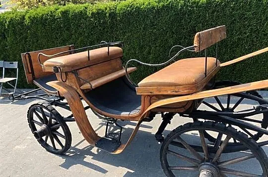 Kucyk 4 lata paszport, Łódzkie, Andrespol