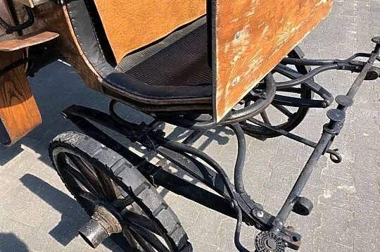 Kucyk 4 lata paszport, Łódzkie, Andrespol