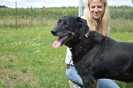 Czekam na Ciebie od czterech lat...,  wielkopolski