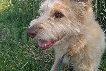 Urocza TETYDA szuka domku :),  mazowieckie Warszaw