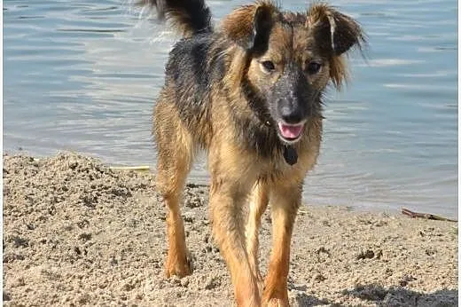 Roczna AKWA czeka na troskliwych opiekunów,  mazow