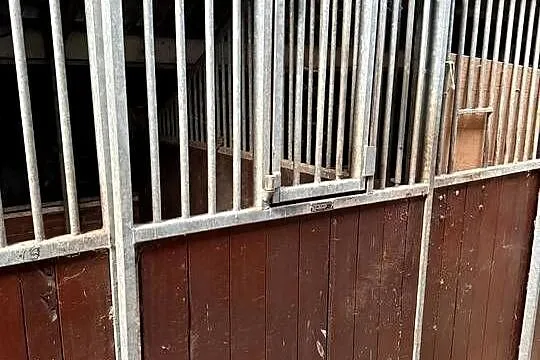 Boxy fronty przegrody dla koni, Wielkopolskie, Piaski