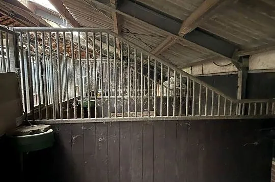 Boxy fronty przegrody dla koni, Wielkopolskie, Piaski
