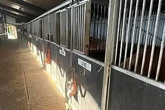 Boxy fronty przegrody dla koni, Wielkopolskie, Piaski