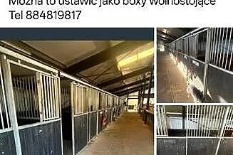 Boxy fronty przegrody dla koni, Wielkopolskie, Piaski
