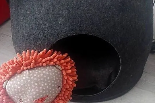 Budka domek legowisko Nowe, Mazowieckie, Pruszków