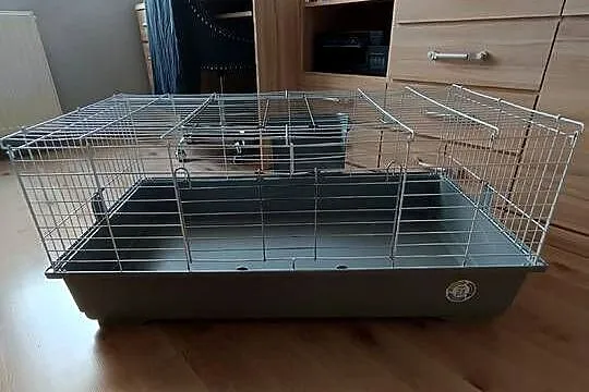 Klatka dla królika