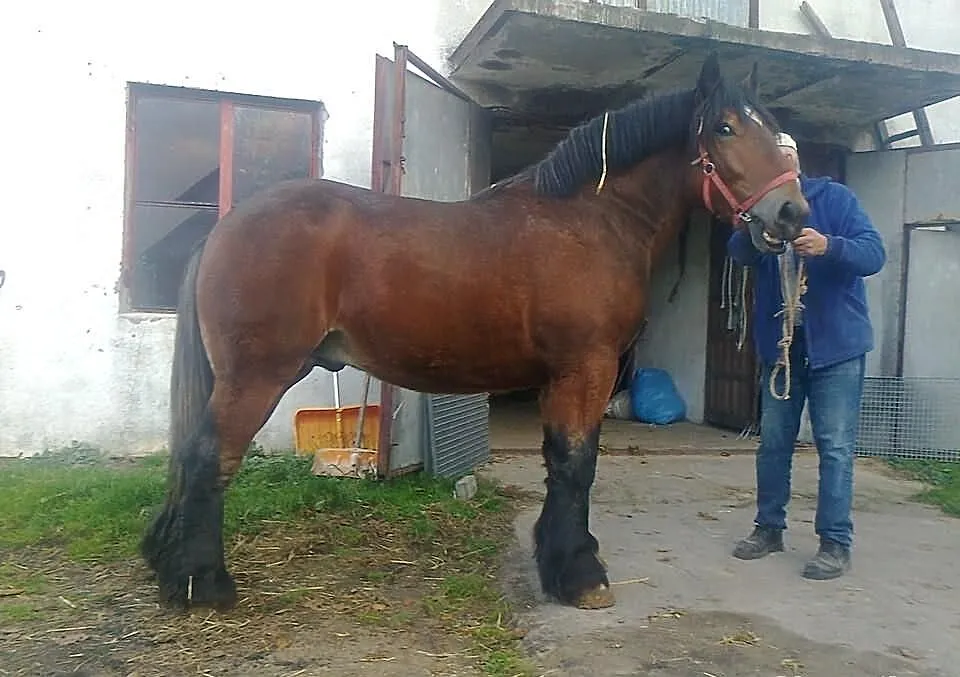 Arden ASTER przyszły champion!
