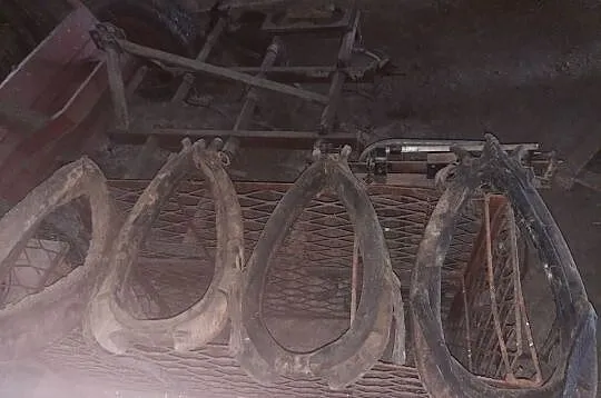 3 szt. homont, Świętokrzyskie, Damiany