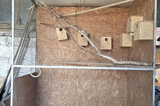 Duża woliera dla ptaków, Wielkopolskie, Krotoszyn