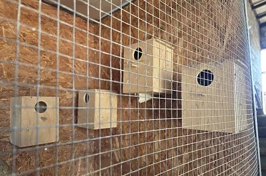 Duża woliera dla ptaków, Wielkopolskie, Krotoszyn