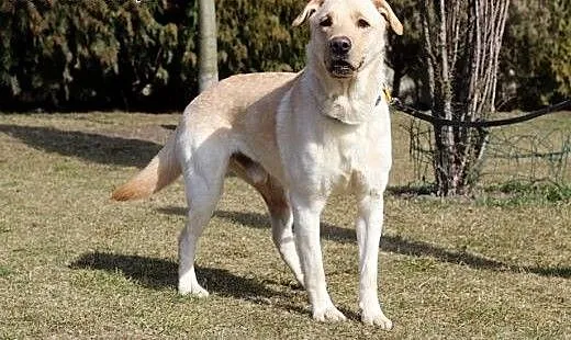 Czy obchodzi Cię Falcor?, kujawsko-pomorskie Bydg