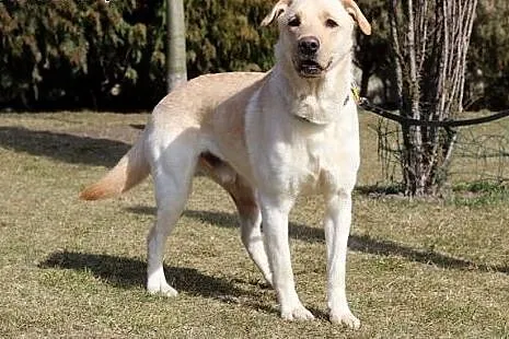 Czy obchodzi Cię Falcor?, kujawsko-pomorskie Bydgoszcz