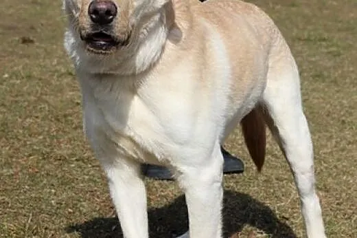 Czy obchodzi Cię Falcor?,  kujawsko-pomorskie Bydg