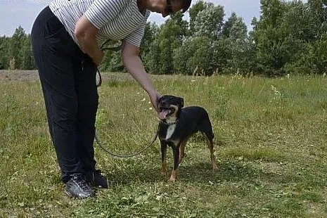 Podarujesz Mani dom? Urocza, grzeczna, delikatna, 