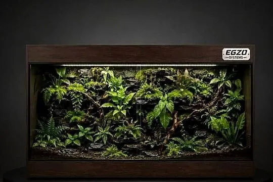 Terrarium profesjonalne dla boa cesarskiego kameleona