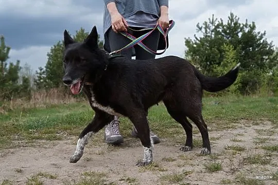 Wesoła babka Edzia-gaduła,przesympatyczna,poczciwa
