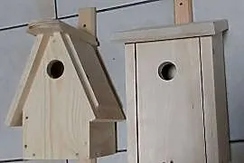 budka legowa sikorka - kopciuszek