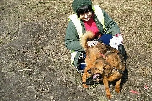 Przemiła Reni szuka nowego domu,  łódzkie Łódź