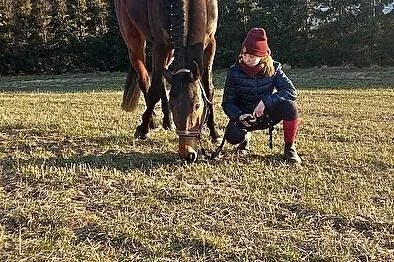 Szukam konia do dzierżawy zdj moje i dla uwagi, , Swarożyn