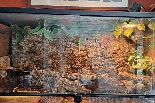Terrarium Reptii Zoo (90×45) z wyposażeniem, Opolskie, Opole
