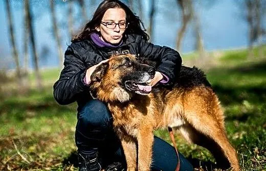 BARTEK, dostojny, mądry, kochany - owczarek do wzi