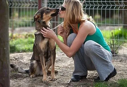 Jestem Tobi, nie jestem Yorkiem ale potrafię mocno