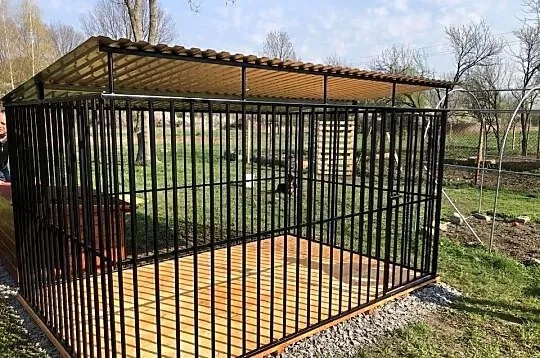 A1 Kojec Dla Psa, Kujawsko-pomorskie, Rypin