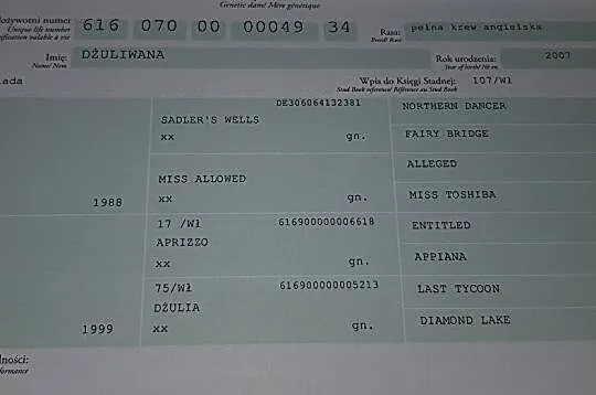Klacz 4 lata po Lijaneiro, , 