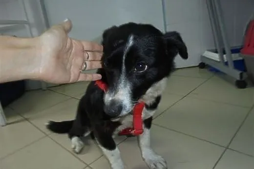 Pokochaj mnie,  łódzkie Łask