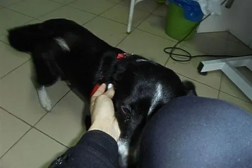 Pokochaj mnie,  łódzkie Łask