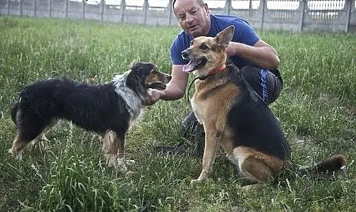 Azorek i Sara - urocza para do adopcji :), łódzki