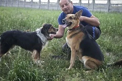 Azorek i Sara - urocza para do adopcji :),  łódzki