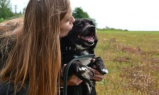 Mały Zgryzek poleca się do adopji - ogrom miłości