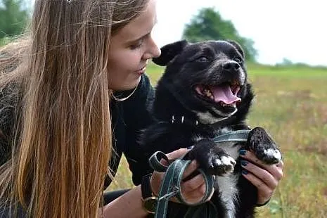 Mały Zgryzek poleca się do adopji - ogrom miłości 