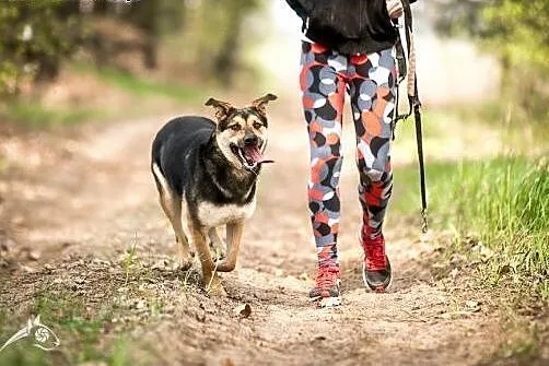 Ciekawa świata sara, poleca się do pokochania !,  