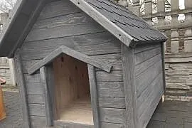 Buda L ocieplona malowana gont dla psa