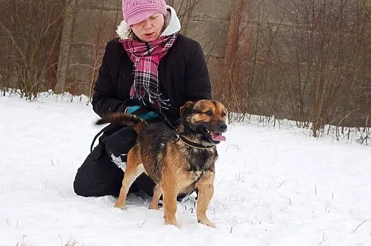 Sumo - mały, spragniony miłości psiak szuka super 