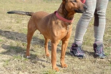 Lonia - piękna oaza spokoju :),  warmińsko-mazursk