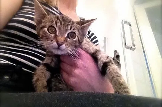 Lucy, Moryc i Maks – szukają swojej Ziemi Obiecane