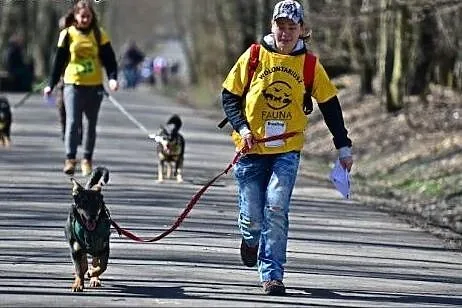 Guluś - niepowtarzalny, radosny SZCZENIAK szuka do